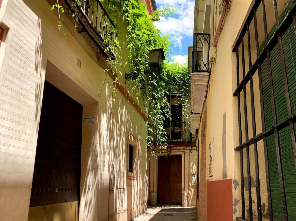 Acogedor Apt 8Pax 4Bdr 2Bth- Cozyhomesevilla2 Exterior foto